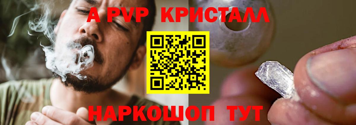 Alfa_PVP СК Краснодар