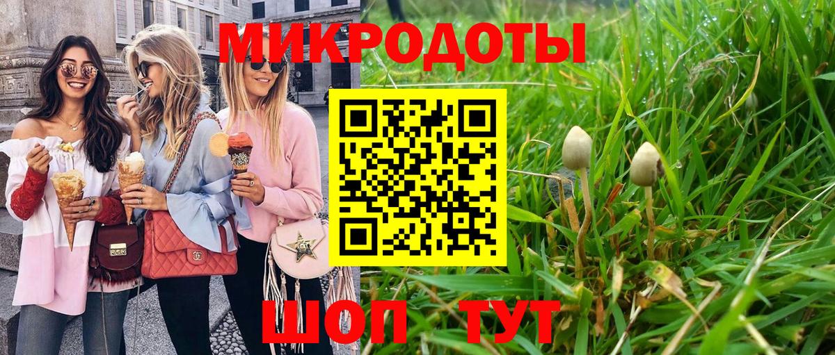 Галлюциногенные грибы мицелий  Вход с VPN  Краснодар  Псилоцибиновые грибы GOLDEN TEACHER 
